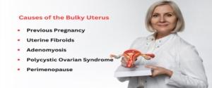 Bulky Uterus Causes , Symptoms and Treatment - Imprimis IVF