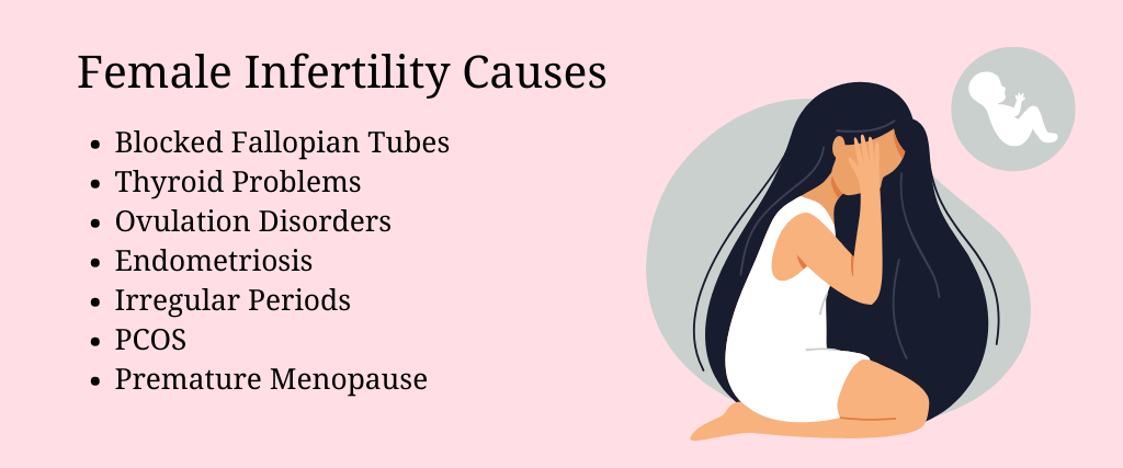 female infertility causes and IVF Treatment Cost in Srinagar