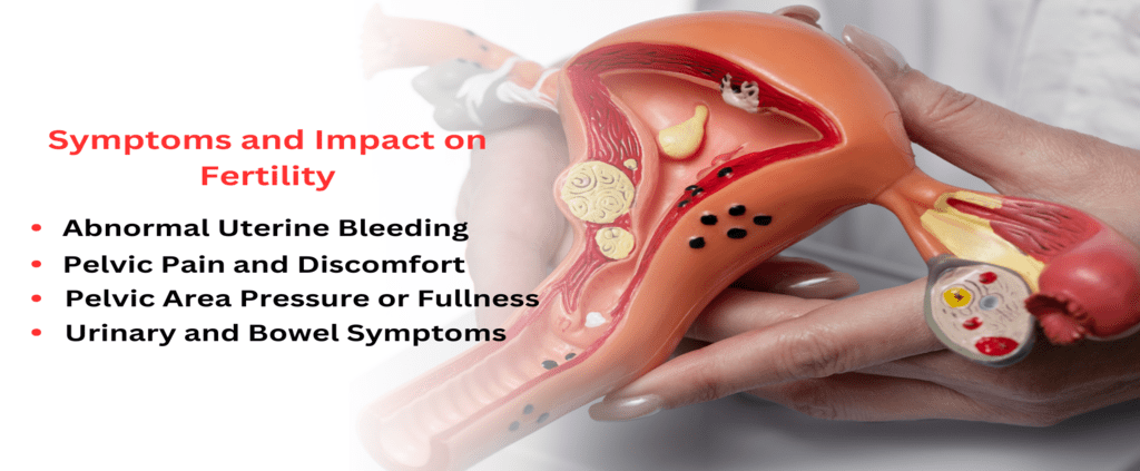 Symptoms of Enlarged Uterus