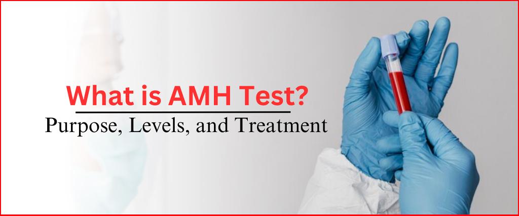 What is AMH Test