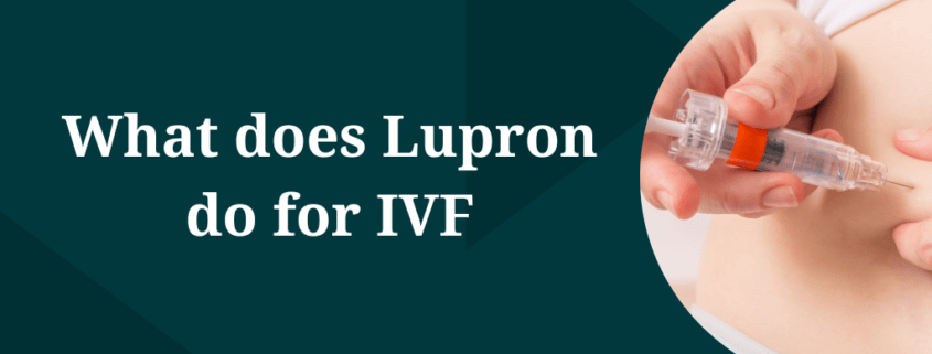 What does Lupron do for IVF