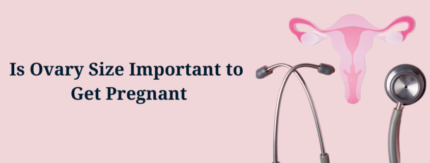 Is Ovary Size Important to Get Pregnant