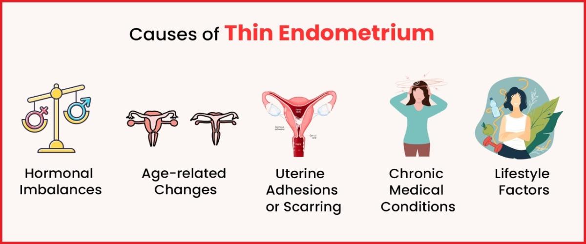 Thin Endometrium causes