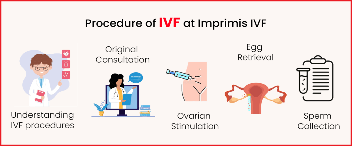 IVF Procedures