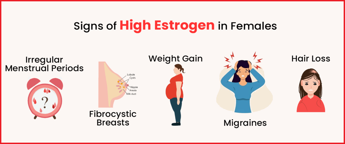 Signs of High Estrogen in females