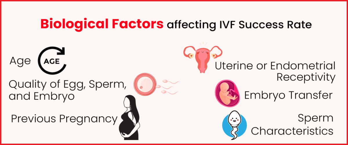 biological factors affecting IVF success rate