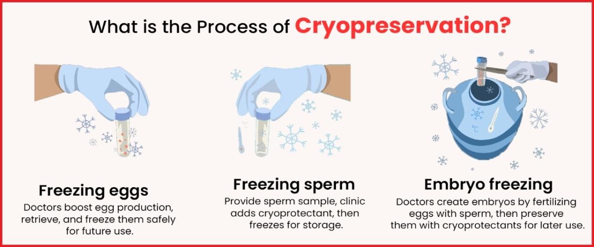 Process of Cryopreservation