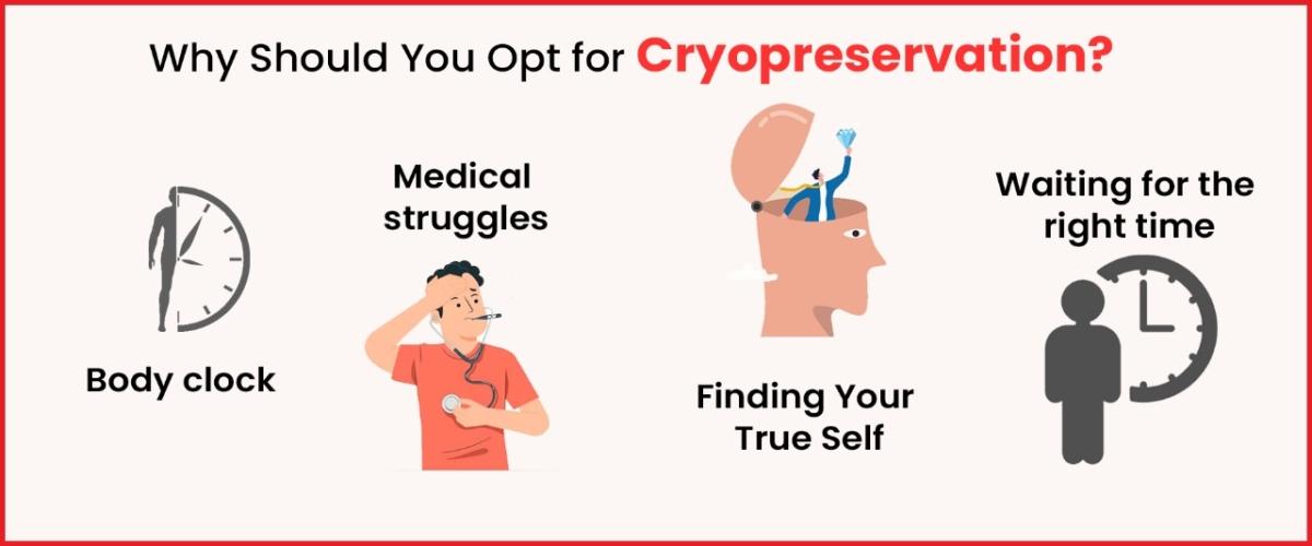 Why Should You Opt for Cryopreservation