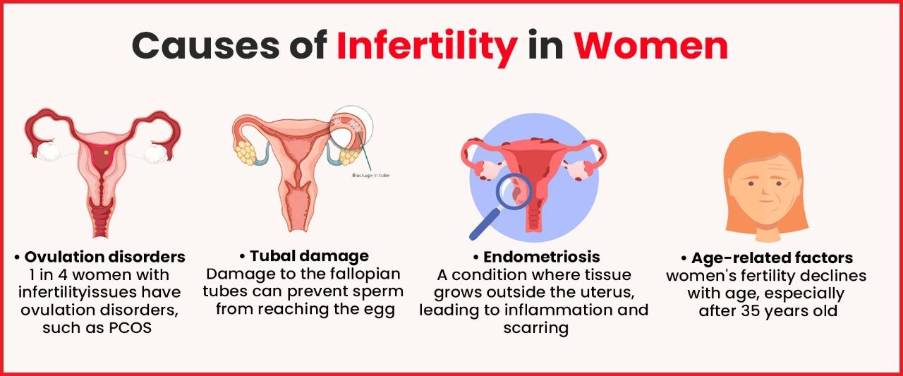 How Infertility Affects Male and Female - Imprimis IVF