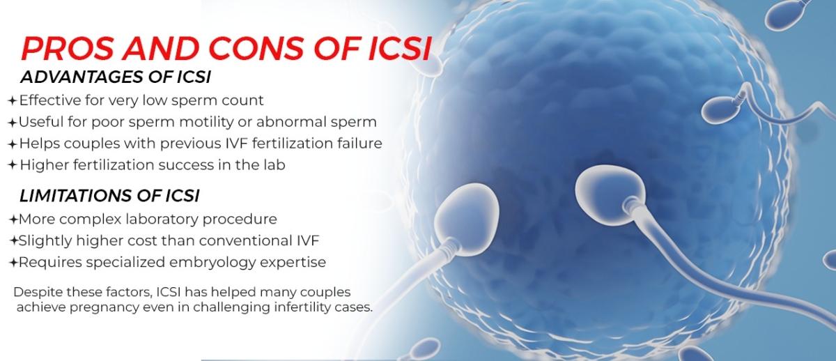 Pros and Cons of ICSI