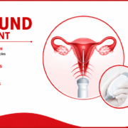 The Importance of Ultrasound in IVF