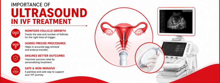 The Importance of Ultrasound in IVF