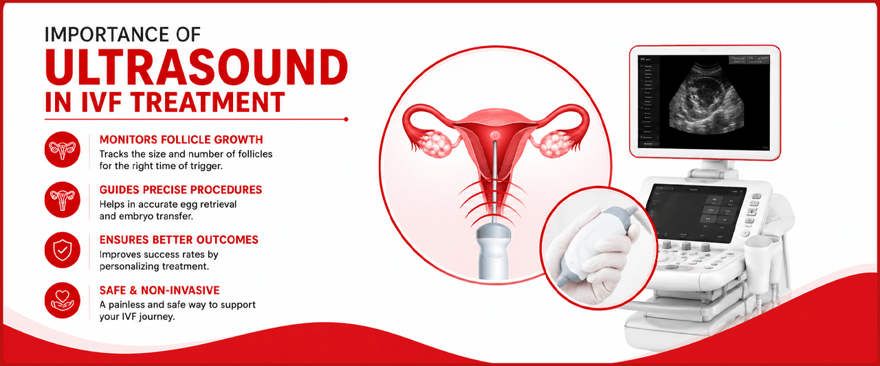 The Importance of Ultrasound in IVF